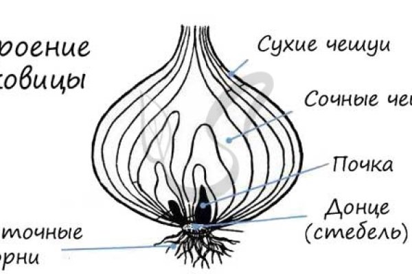 Сайт кракен онион