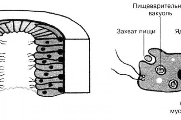 Кракен даркнет только через стор